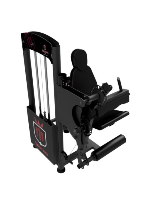 RENDER 02 - EXTENSOR FLEXOR SENTADO