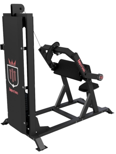 RENDER 2 - TRICEPS (C43-DEF129)