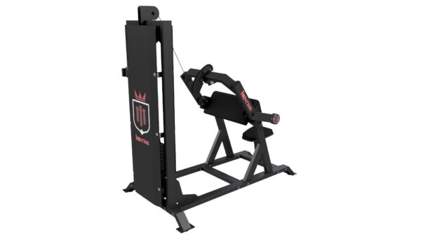 TRICEPS - Imagem 2