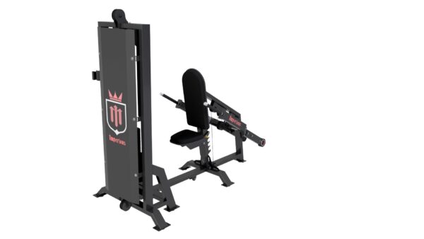 TRICEPS PARALELO - Imagem 2
